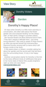 dorothy